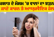 Monsoon Hair Care