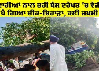 Nabha Bus Accident
