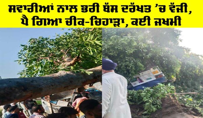 Nabha Bus Accident