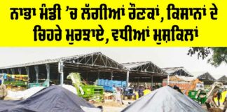 Nabha News