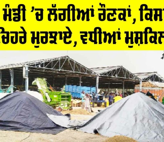 Nabha News