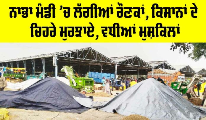 Nabha News