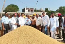 Paddy Government Purchase