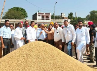 Paddy Government Purchase