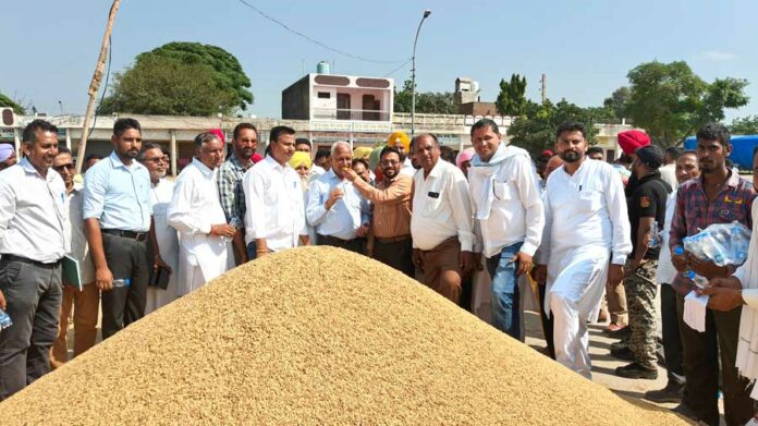 Paddy Government Purchase