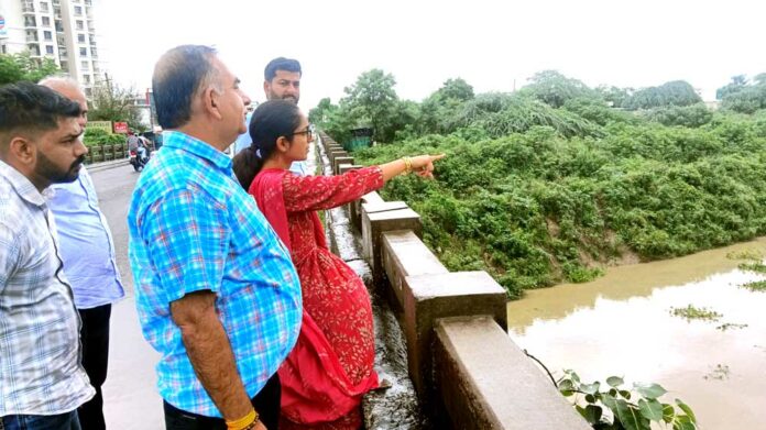 Patiala River