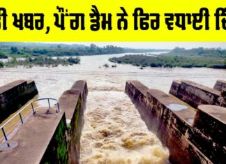 Pong Dam News