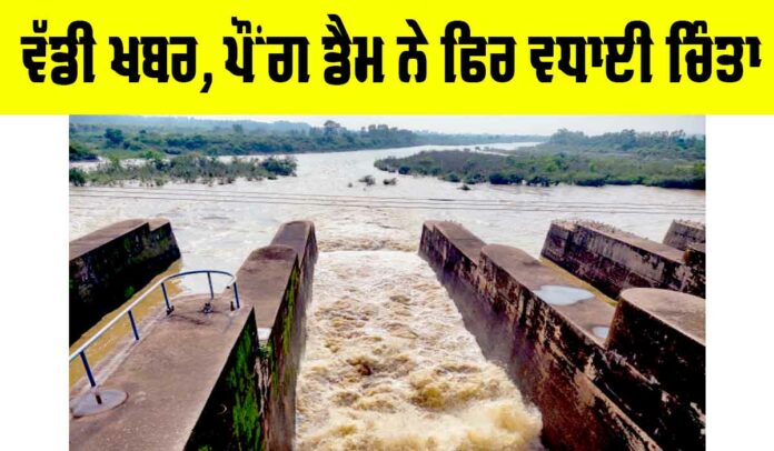 Pong Dam News