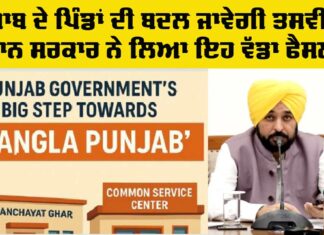 Punjab Government News