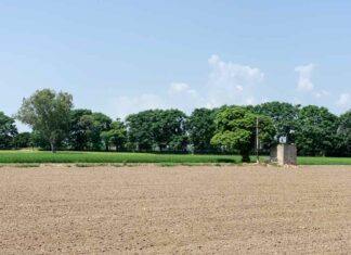 Punjab Agricultural Land