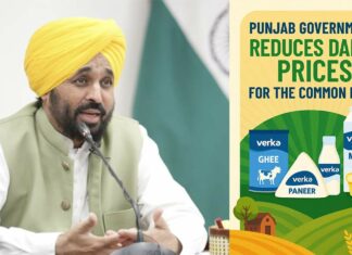 Punjab News