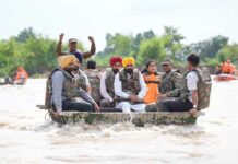 Punjab Government News