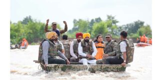 Punjab Government News