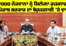 Punjab Employment News
