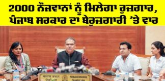 Punjab Employment News