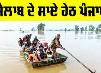 Punjab Flood