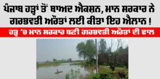 Punjab Flood