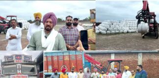 Punjab Flood News