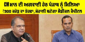 Punjab Government News