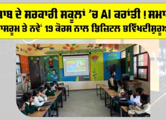 Punjab Government Schools