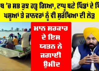 Punjab Flood