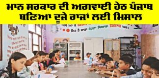Government Punjab News