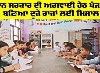 Government Punjab News