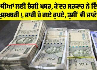 Punjab News