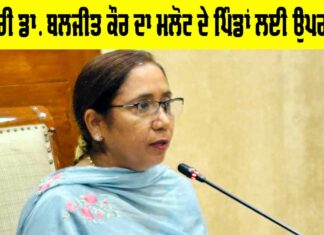 Punjab News