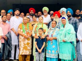 Punjab Politics News