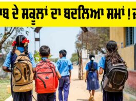 Punjab School Timing
