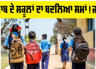 Punjab School Timing