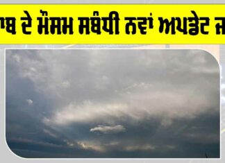 Punjab Weather Forecast