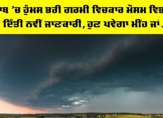Punjab Weather News | storm-clouds-over-wheat-field-danger-weather-with-dark-sky-over-fields-SBI-300870590