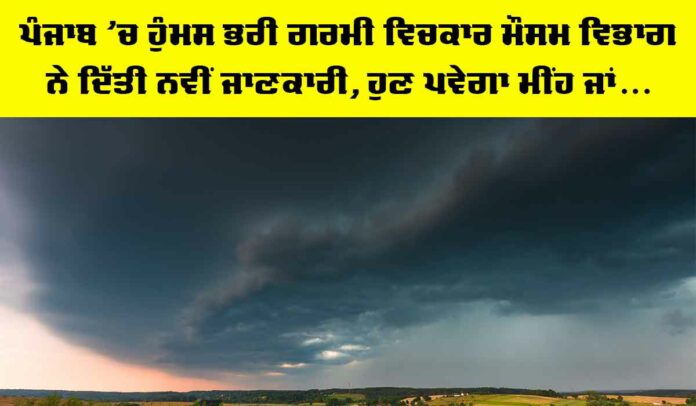 Punjab Weather News Punjab Weather News | storm-clouds-over-wheat-field-danger-weather-with-dark-sky-over-fields-SBI-300870590
