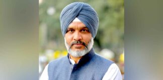 Punjab Wheat Seeds
