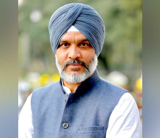 Punjab Wheat Seeds