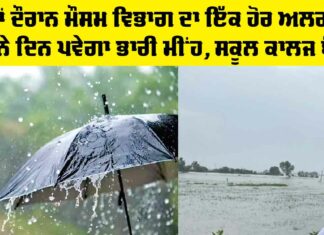 Rain Alert