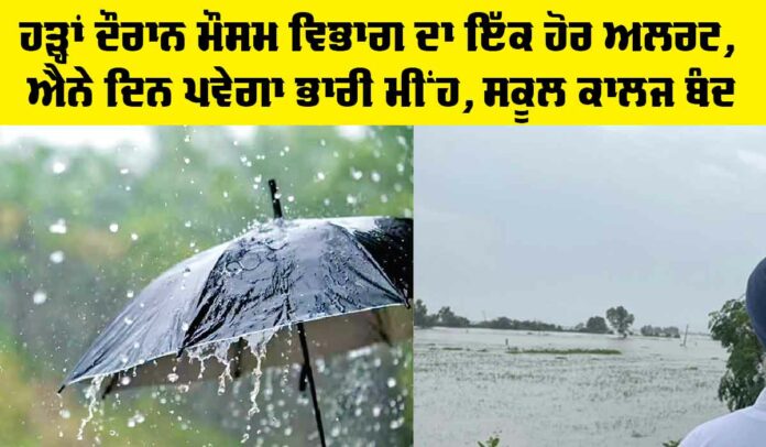Rain Alert