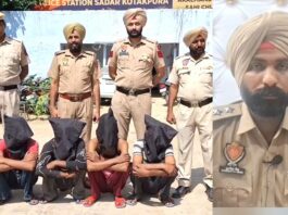 Robbers Arrested