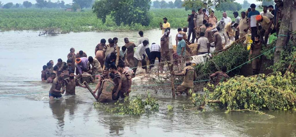 Hisar Ghaggar Drain