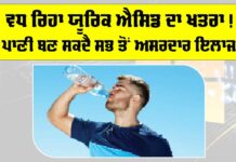 Uric Acid