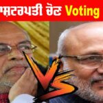 Vice President Election