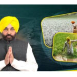 Punjab Government News