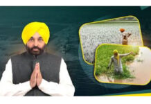 Punjab Government News