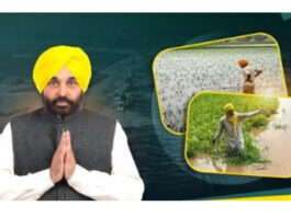 Punjab Government News