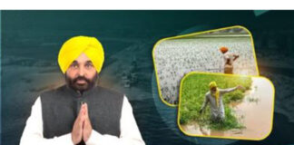 Punjab Government News
