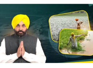 Punjab Government News
