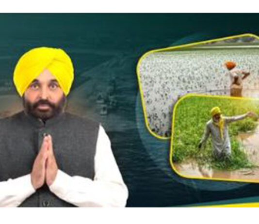 Punjab Government News