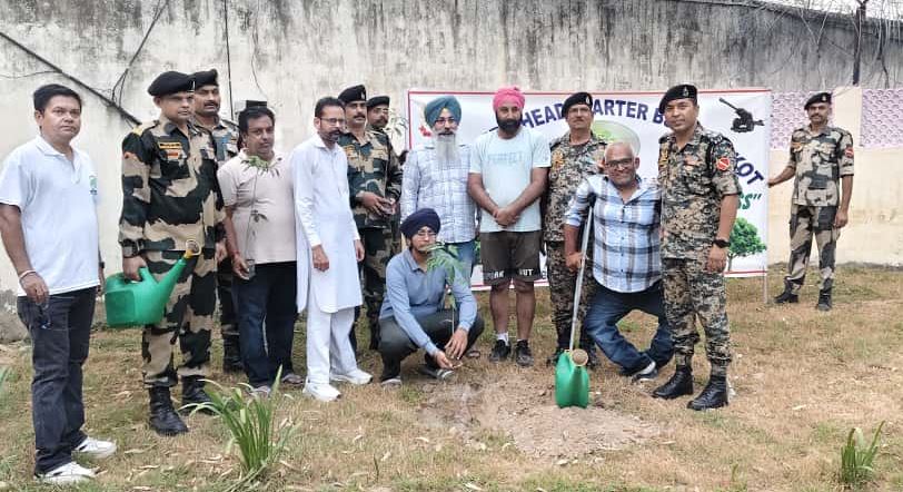 Tree Planting Campaign
